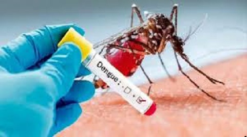 Human trial of dengue vaccine starts in RML, testing will be done at 19 centers across the country.