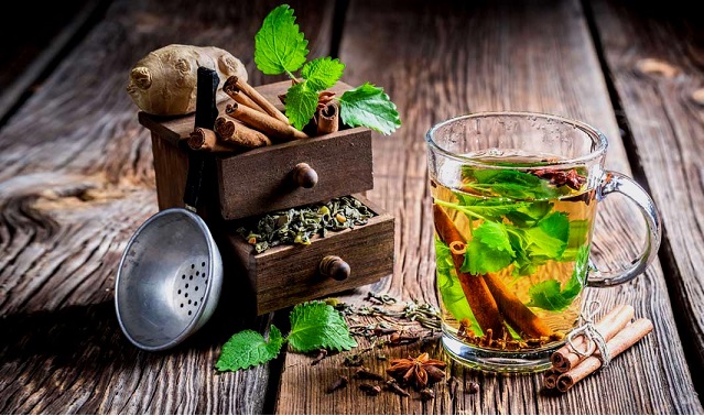 Ama' accumulated in the body is the root of diseases; gain new energy with Ayurvedic cleansing. Ayurveda says first cleansing, then nourishment, and then reconstruction.