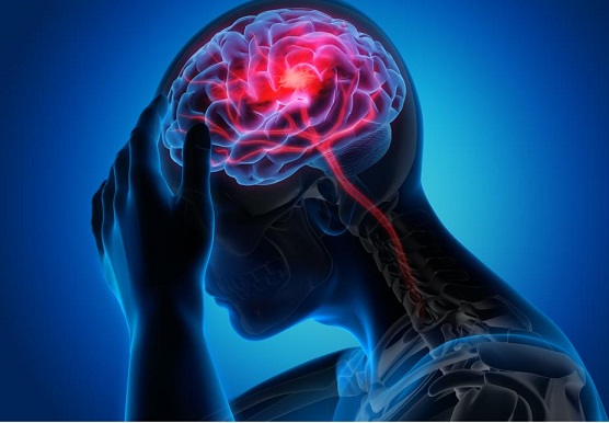 Cold temperatures can thicken the blood, as within just a few hours of exposure to cold, red blood cells and platelets increase, leading to clot formation.