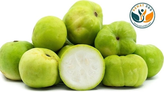 Apple Guard has high water content, it may help increase urine flow, Helps control blood sugar low glycaemic index and many more health benefits 