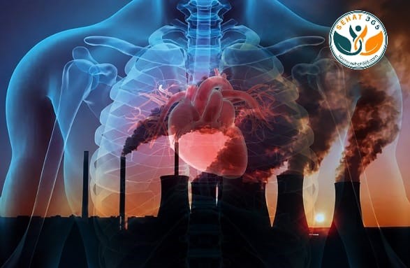 Air Pollution May Be Damaging Your Heart More Than Your Lungs