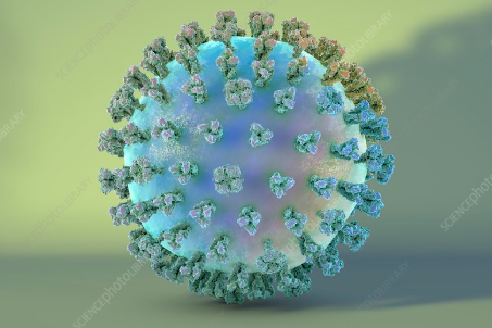 First death from swine flu in Delhi, passed away at BLK Hospital